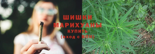 скорость Богородск