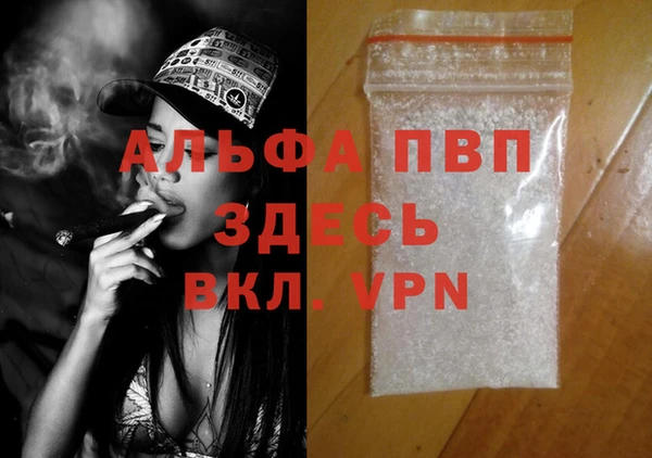 стаф Богородицк