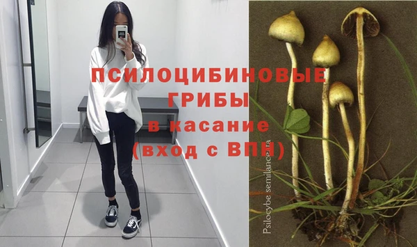 индика Белоозёрский
