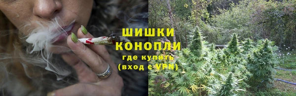 стаф Богородицк