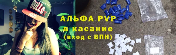 стаф Богородицк
