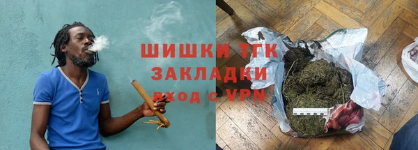 индика Белоозёрский