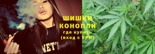 индика Белоозёрский